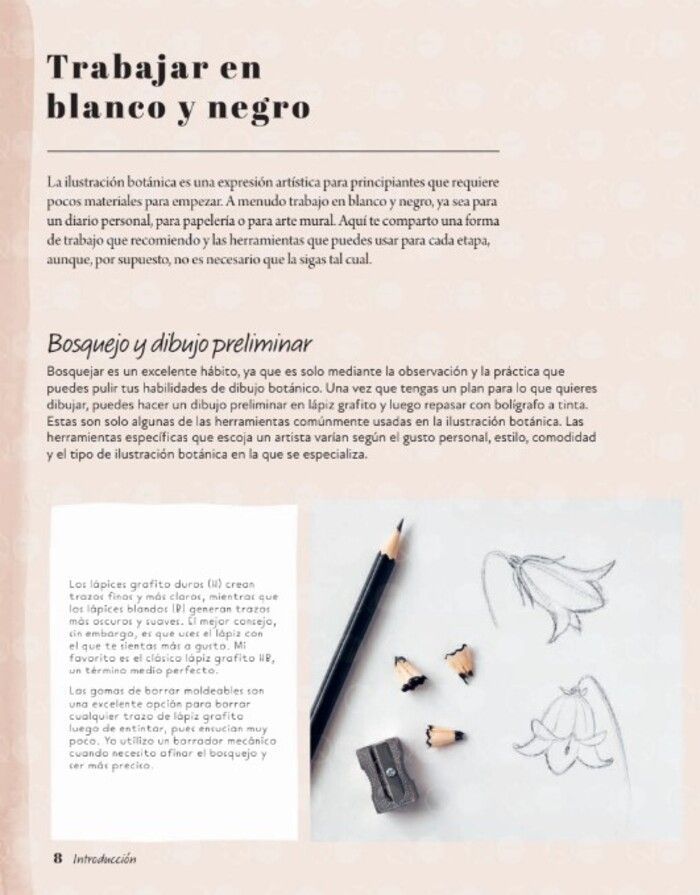 Libro El Arte de Dibujar Flores-3