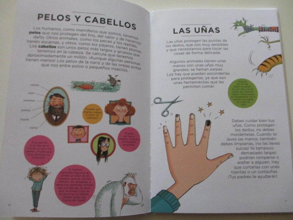 Libro El Cuerpo Humano Por Fuera-3