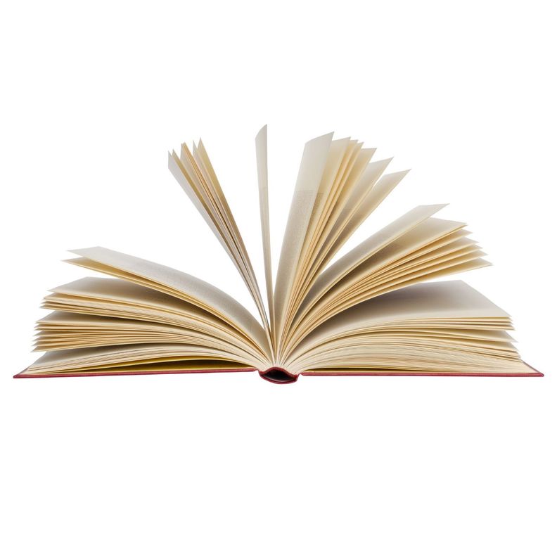 Libro ANIMALES ENCANTADORES -  JUEGOS DIVERTIDOS-2