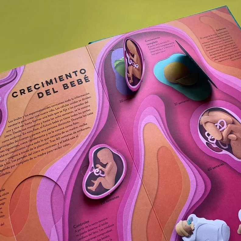 Libro Un mundo de papel - El cuerpo humano-3