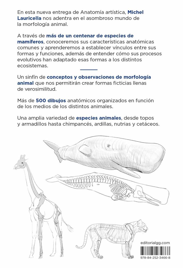 Libro ANATOMIA ARTISTICA 9. Mamiferos: morfologia comparada-3