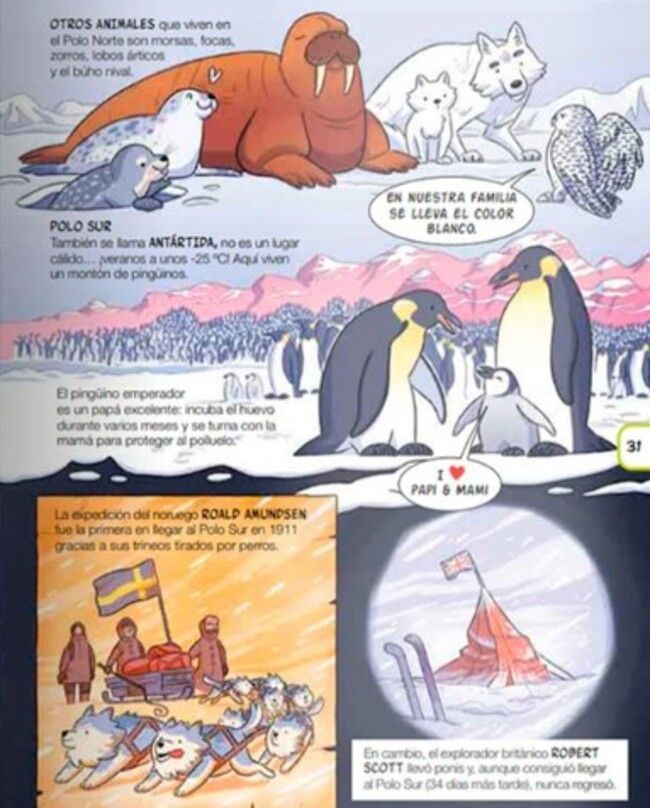 Libro Mi primera enciclopedia del saber-4