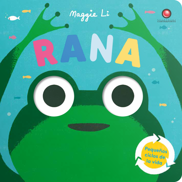 Pequenos ciclos de la vida - Rana