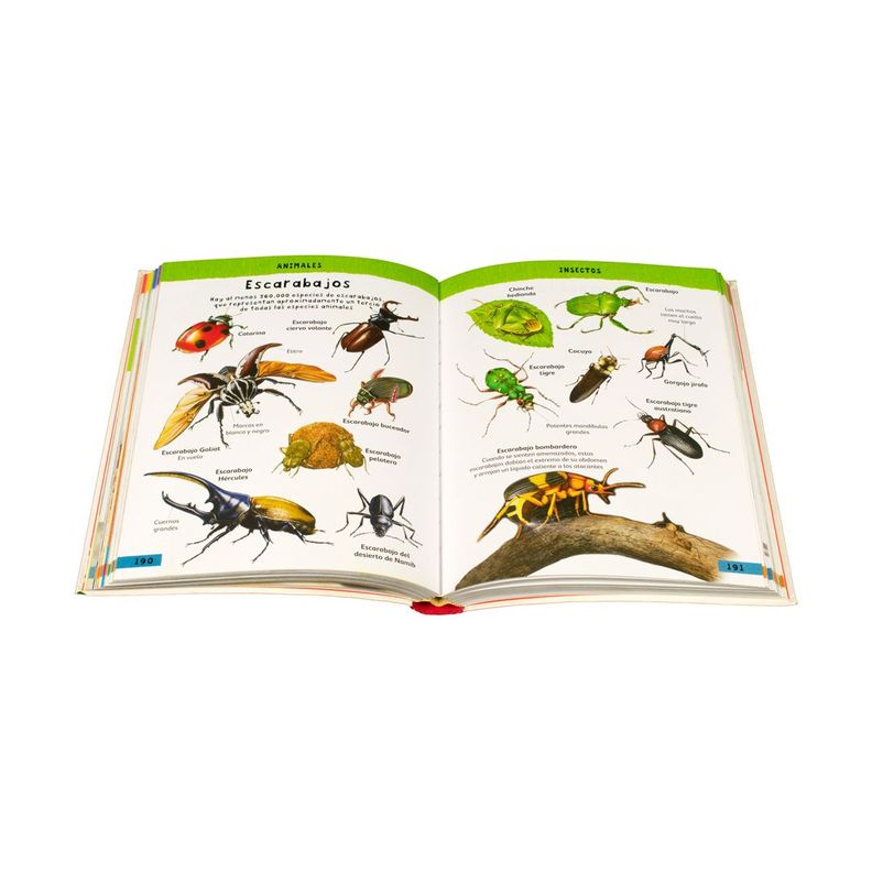 Libro Diccionario ilustrado para niños-2
