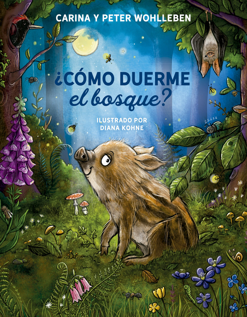 Como duerme el bosque?