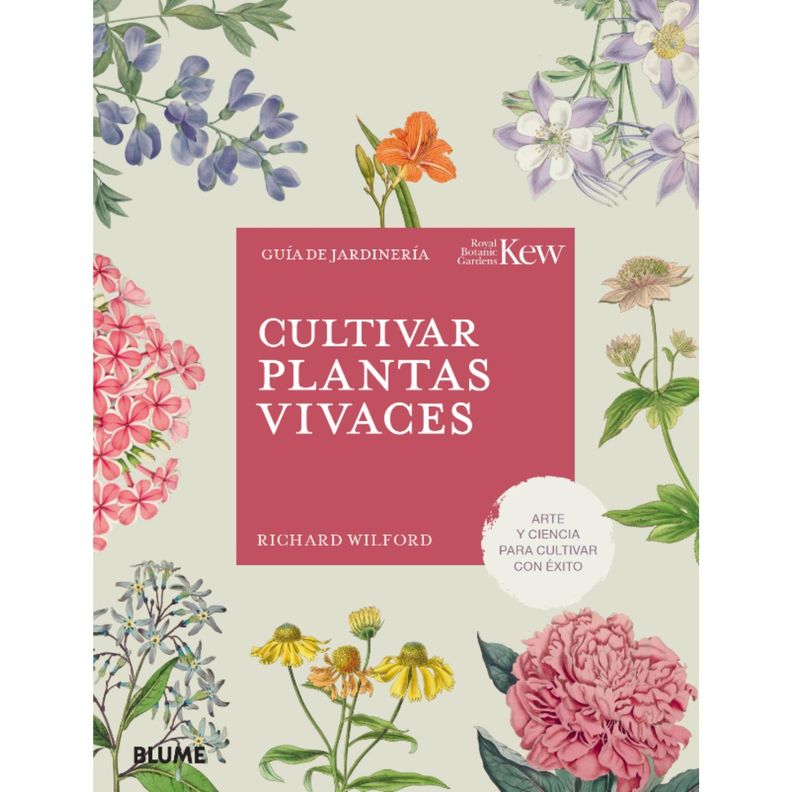 Cultivar plantas vivaces