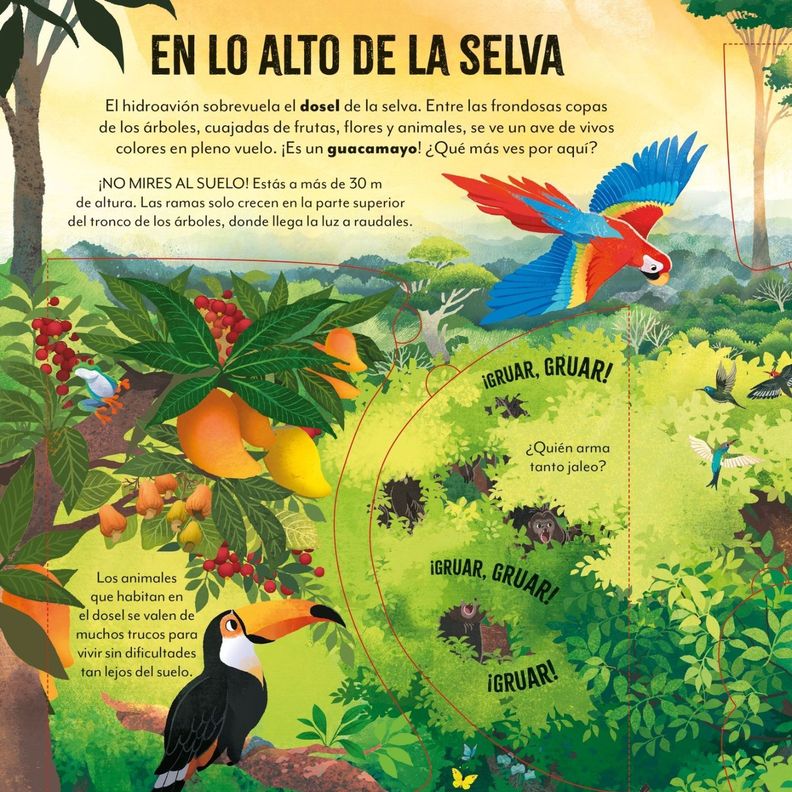 Libro UN MUNDO SORPRENDENTE - DE VIAJE POR EL AMAZONAS-1
