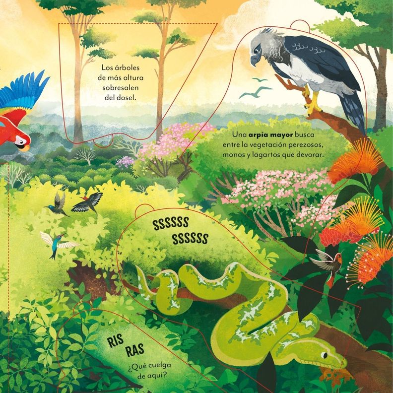 Libro UN MUNDO SORPRENDENTE - DE VIAJE POR EL AMAZONAS-2