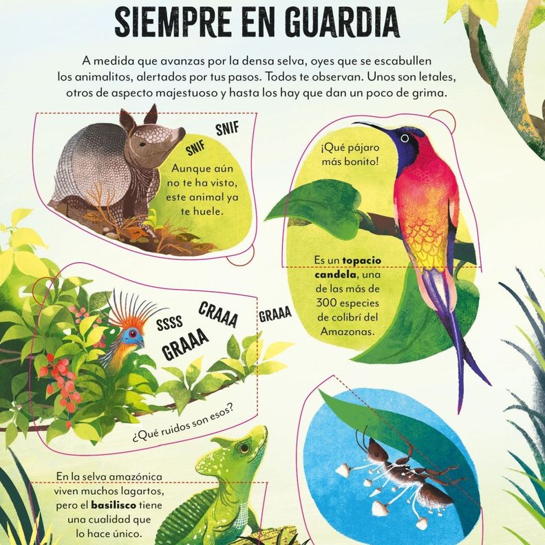 Libro UN MUNDO SORPRENDENTE - DE VIAJE POR EL AMAZONAS-3