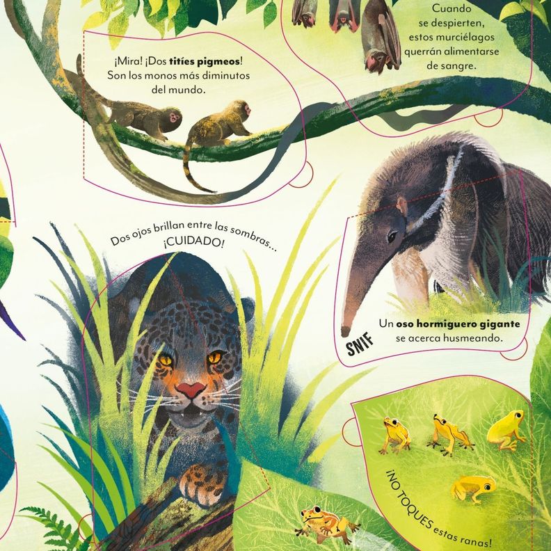 Libro UN MUNDO SORPRENDENTE - DE VIAJE POR EL AMAZONAS-4