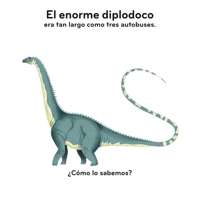 Libro Primeros descubrimientos – Los dinosaurios-3