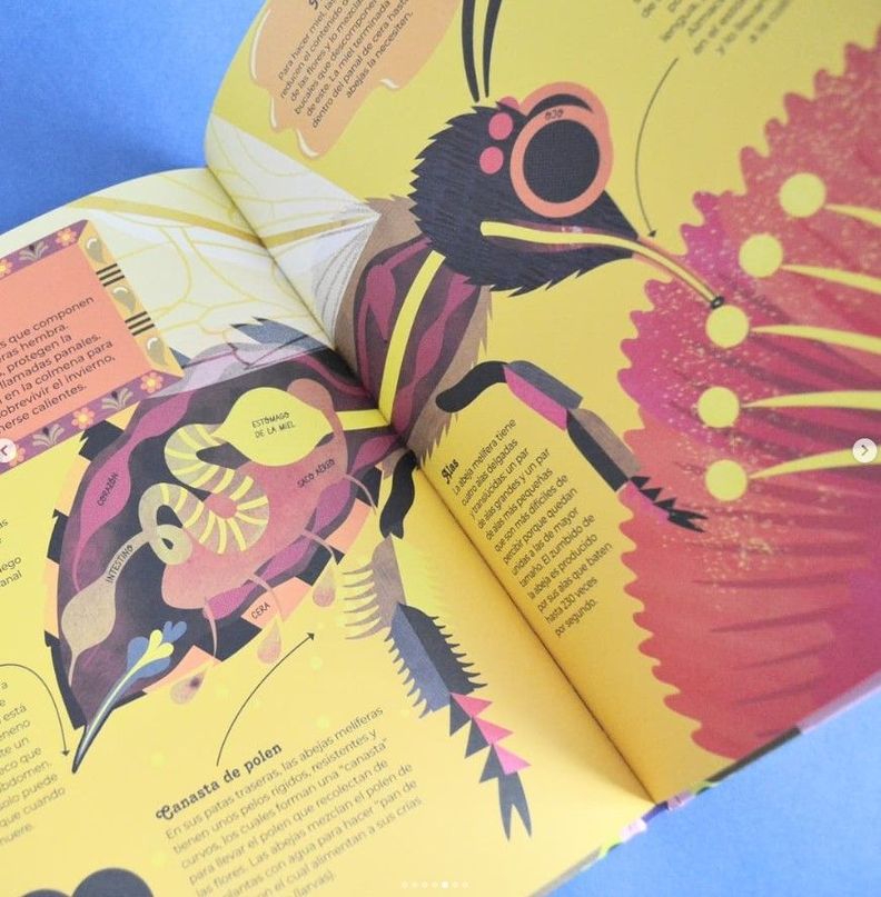 Libro Animales Por Dentro-1