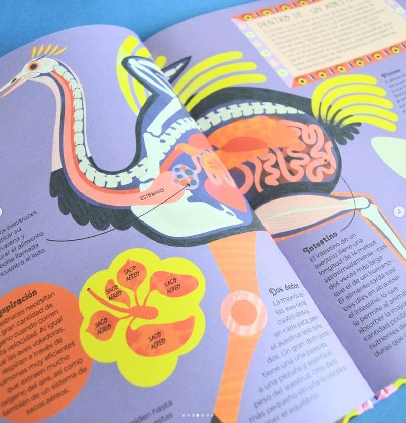 Libro Animales Por Dentro-2