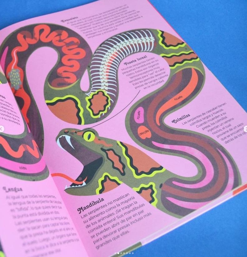 Libro Animales Por Dentro-4