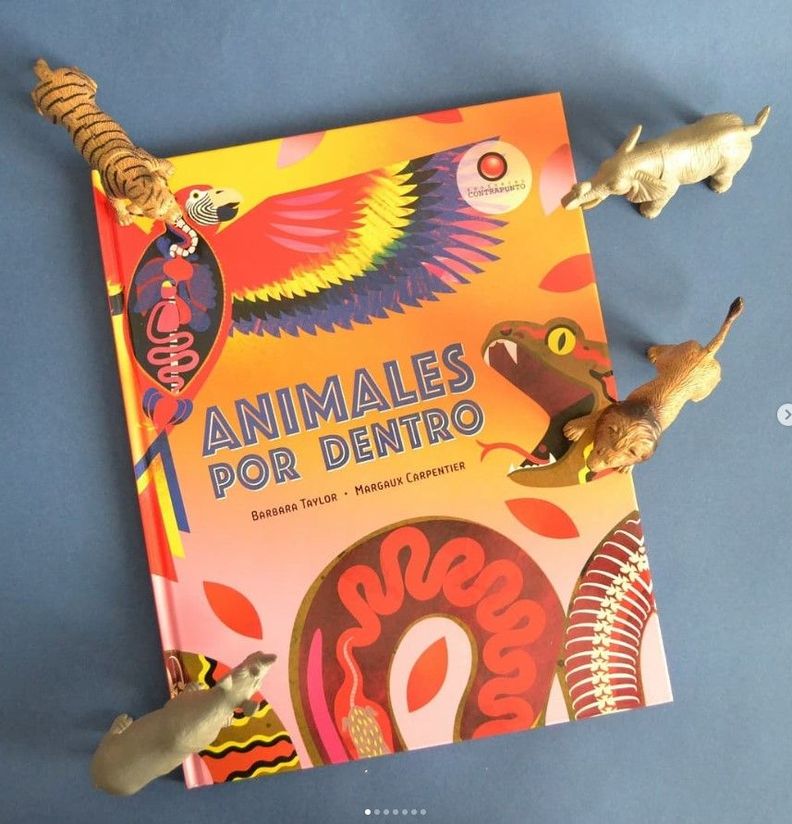 Libro Animales Por Dentro-5