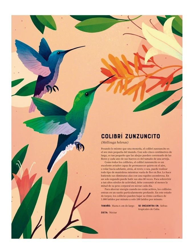 Libro Enciclopedia De Animales-1
