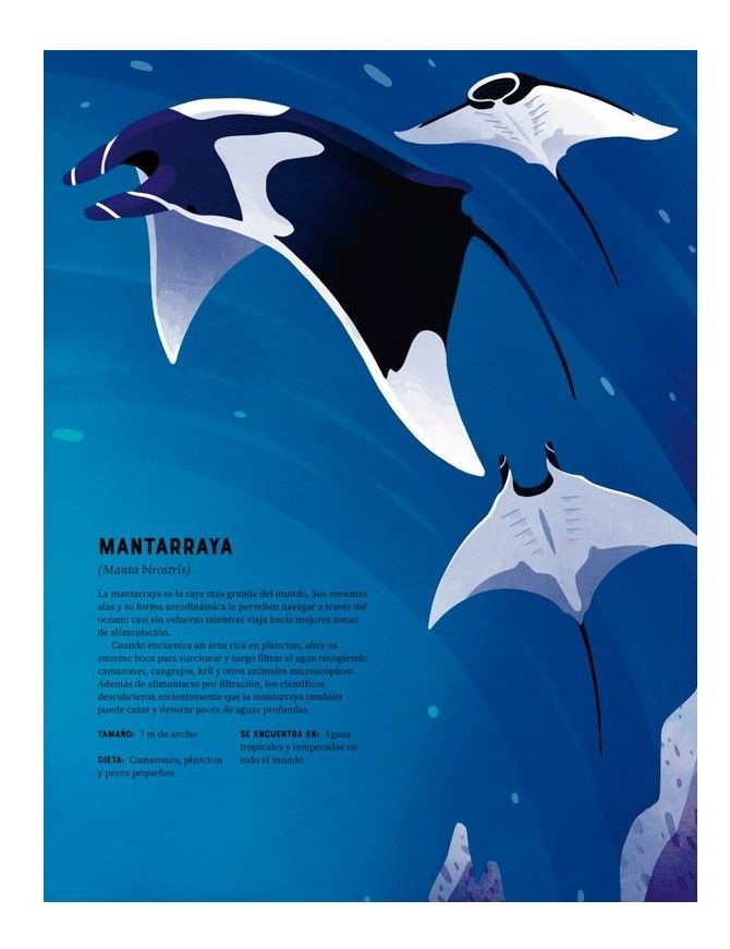 Libro Enciclopedia De Animales-2
