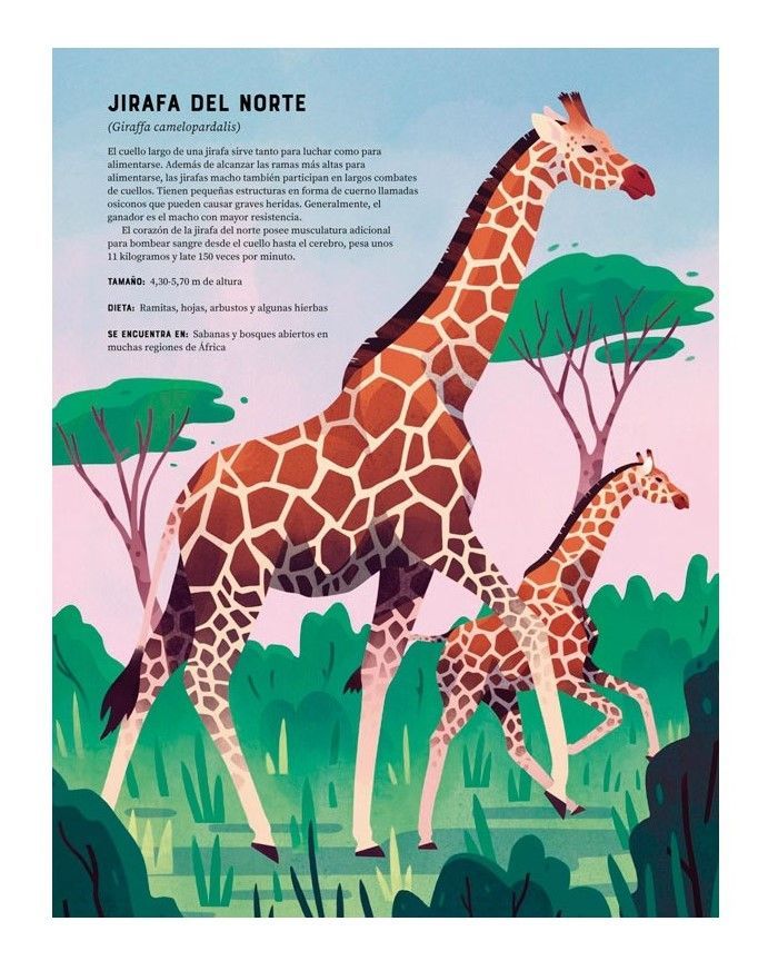 Libro Enciclopedia De Animales-3