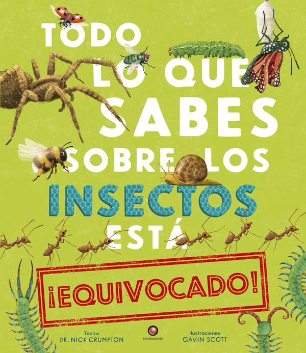 Todo Lo Que Sabes Sobre Los Insectos Esta Equivocado