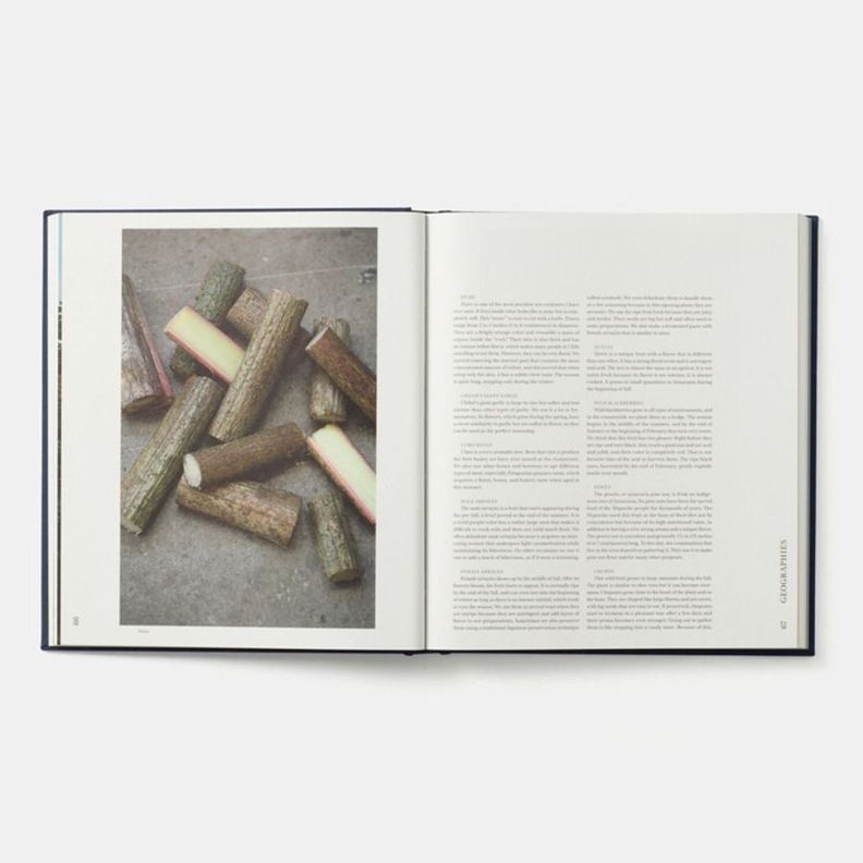 Libro Borago-2