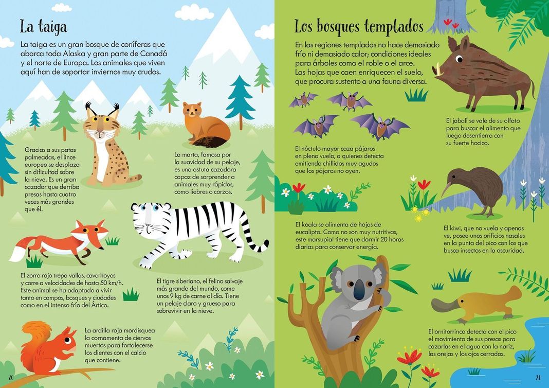libro y puzzle - ANIMALES DEL MUNDO (200 piezas)-1