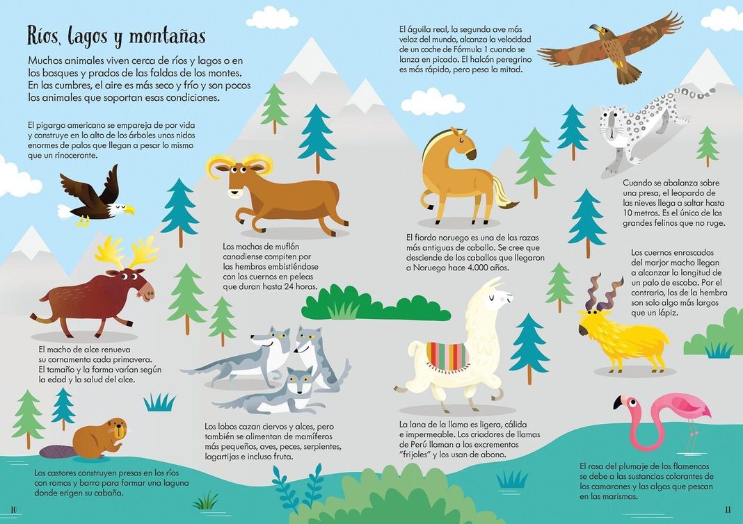 libro y puzzle - ANIMALES DEL MUNDO (200 piezas)-2