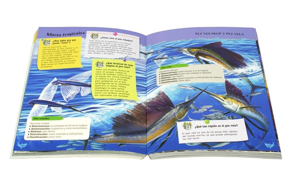 Libro 500 preguntas y respuestas - SOBRE LOS ANIMALES MARINOS-1