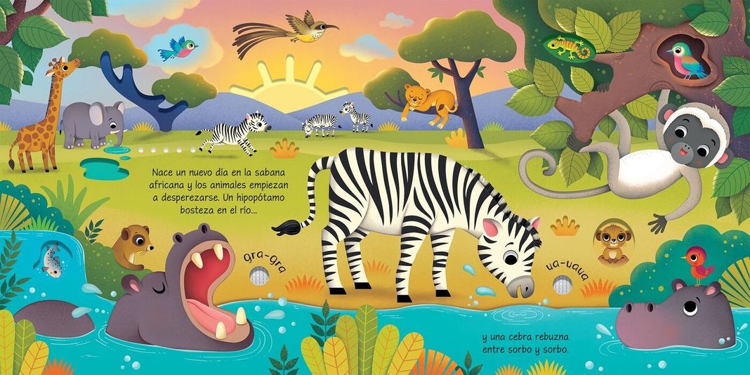 Libro escucho, toco y descubro - ASI SUENAN LOS ANIMALES SALVAJES-2