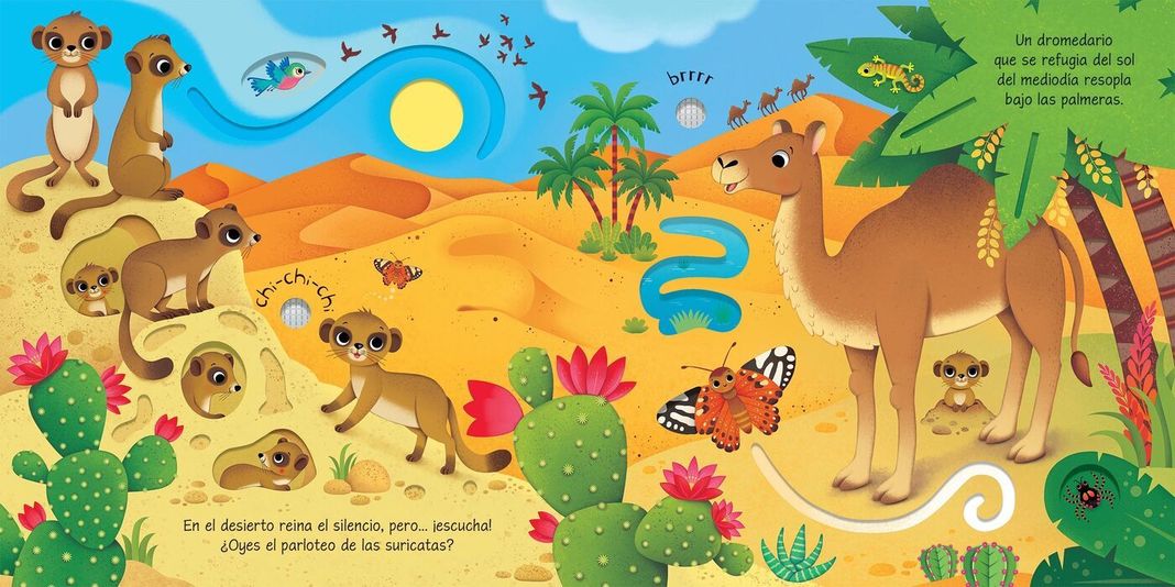 Libro escucho, toco y descubro - ASI SUENAN LOS ANIMALES SALVAJES-3