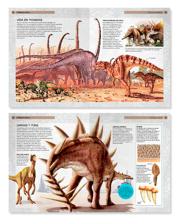 Libro DINOSAURIOS. Viaja en el tiempo…-1