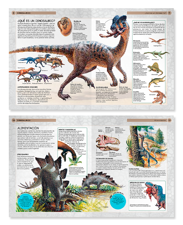 Libro DINOSAURIOS. Viaja en el tiempo…-2