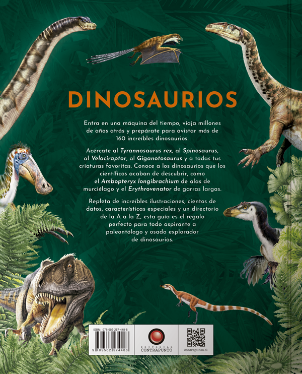 Libro DINOSAURIOS. Viaja en el tiempo…-4