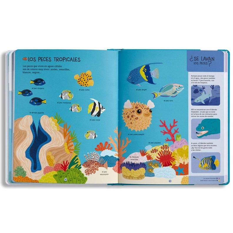 Libro biblioteca para mentes curiosas - ANIMALES MARINOS-2