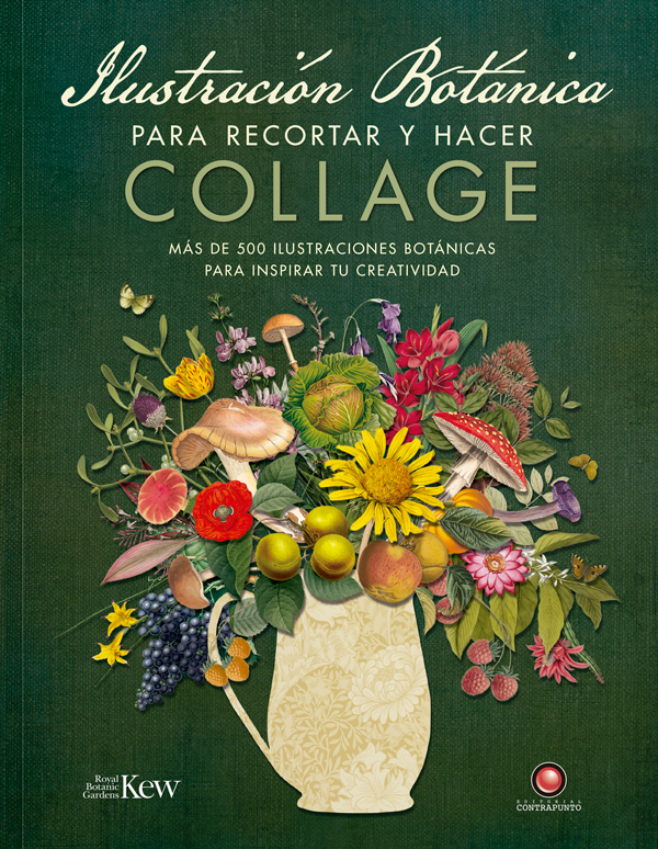 Libro Ilustración botánica para recortar y hacer collage-0