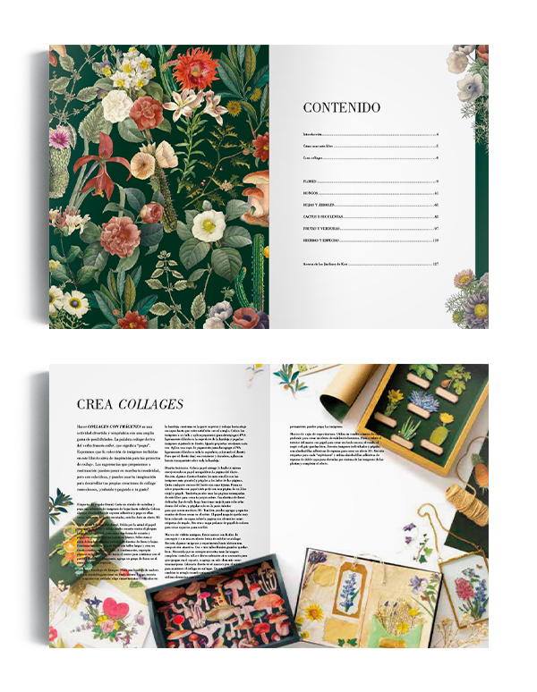 Libro Ilustración botánica para recortar y hacer collage-1