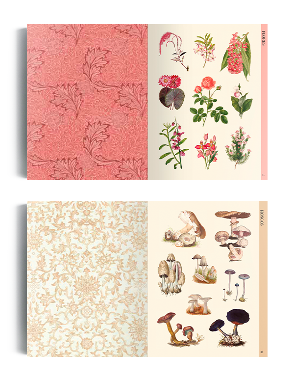 Libro Ilustración botánica para recortar y hacer collage-3