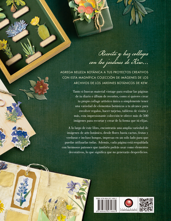 Libro Ilustración botánica para recortar y hacer collage-4
