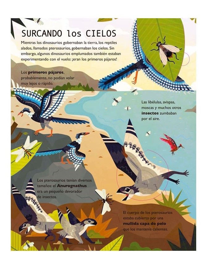 Libro 50 Curiosidades Sobre Los Dinosaurios-2