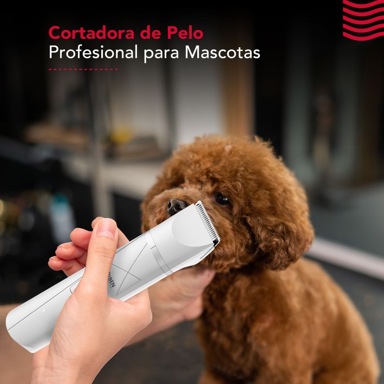 Cortapelo Cuerpo Completo Thor Cordless Usb Pet Trimmer 4En1-3