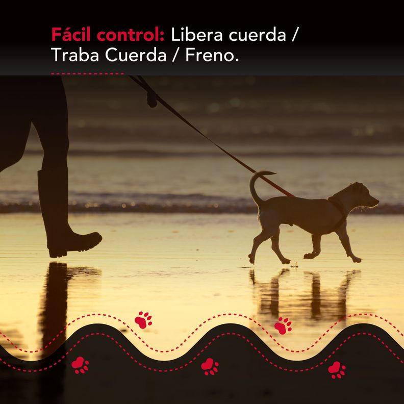 Correa Luminosa Thor Light Leash S-4