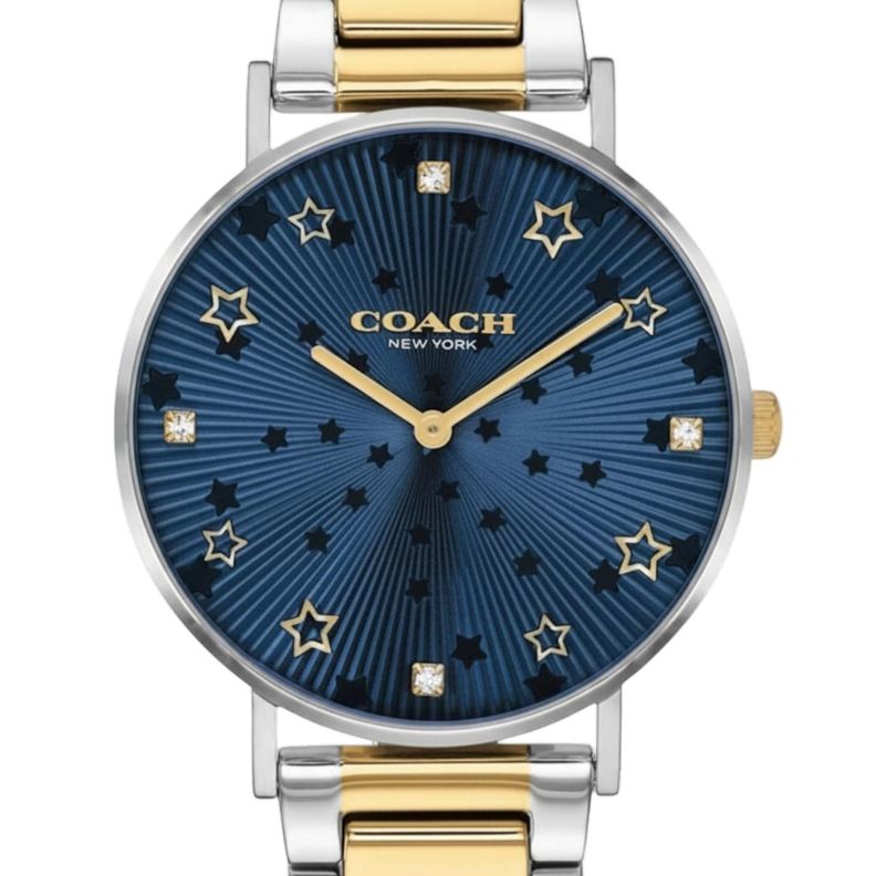Reloj Coach Unisex Perry 14503523