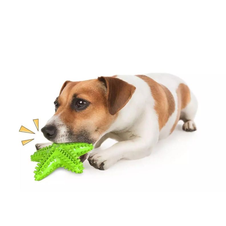 Juguete Para Morder Estrella Interactivo Mascotas Perros-3