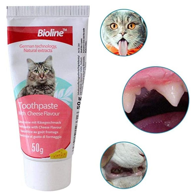 Pasta De Dientes Para Gatos Sabor A Queso 50g Bioline-1
