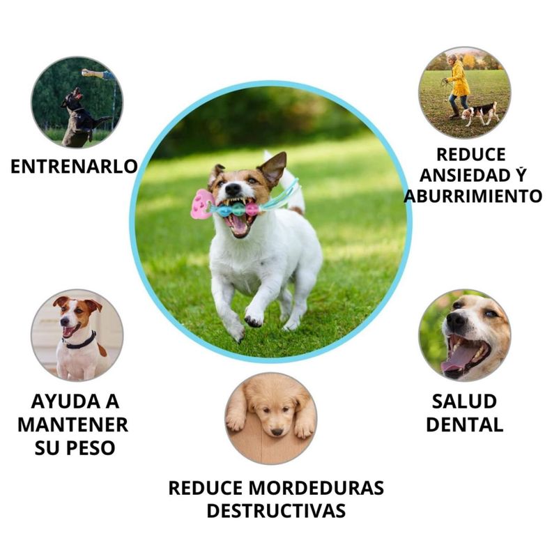 Juguete Interactivo Para Masticar De Goma Colores Mascotas-2