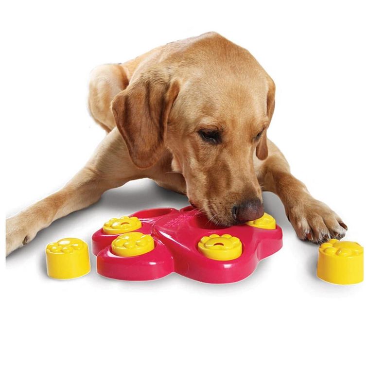 Juguete Rompecabeza Divertido Esconde Comida Para Perros-0
