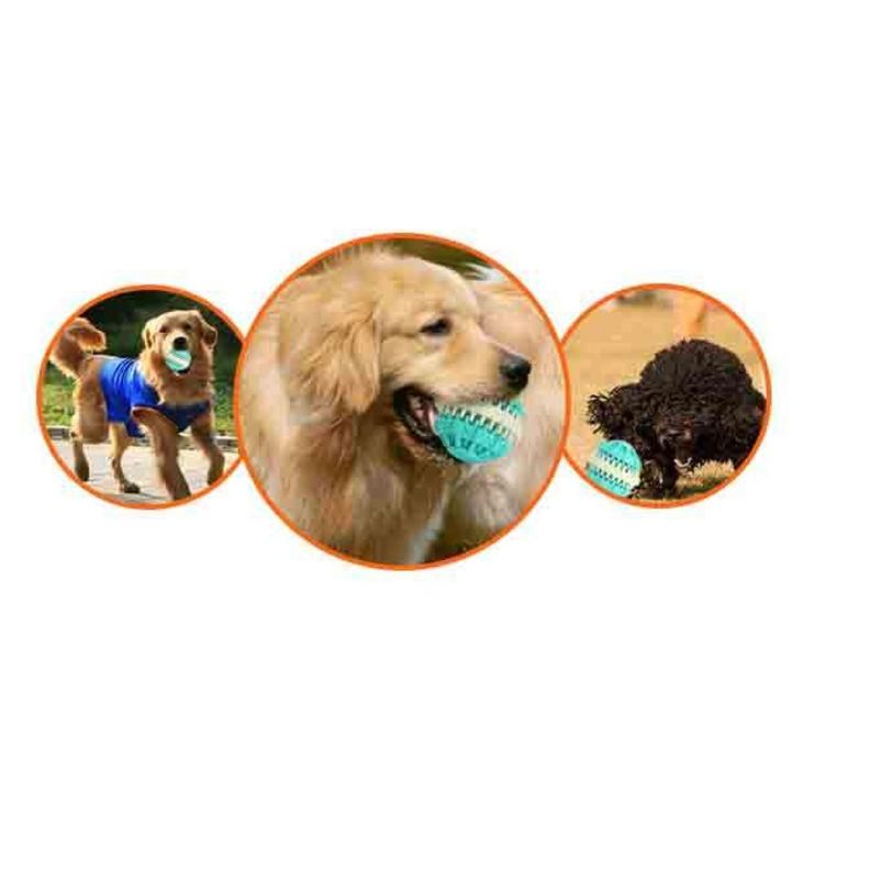 Juguete Para Morder Bola Limpia Dientes Para Mascotas-3