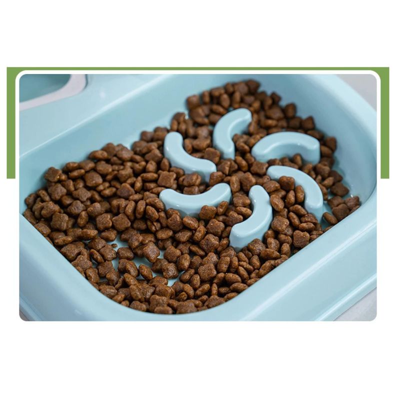 Plato Taza Para Alimentos Con Bebedero Para Mascotas-4