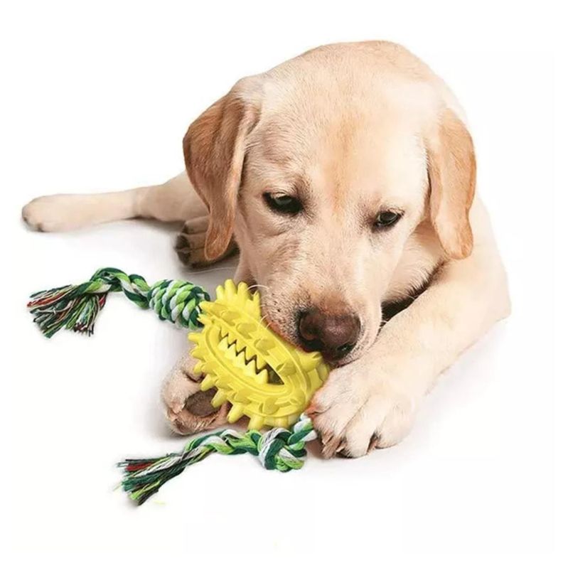 Juguete Para Morder Porta Comida Para Mascotas-5