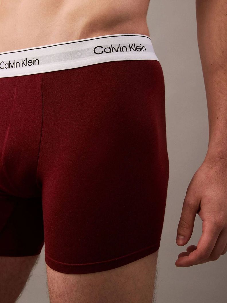 Pack 5 Bóxers Cotton Holiday Multicolor Calvin Klein-3