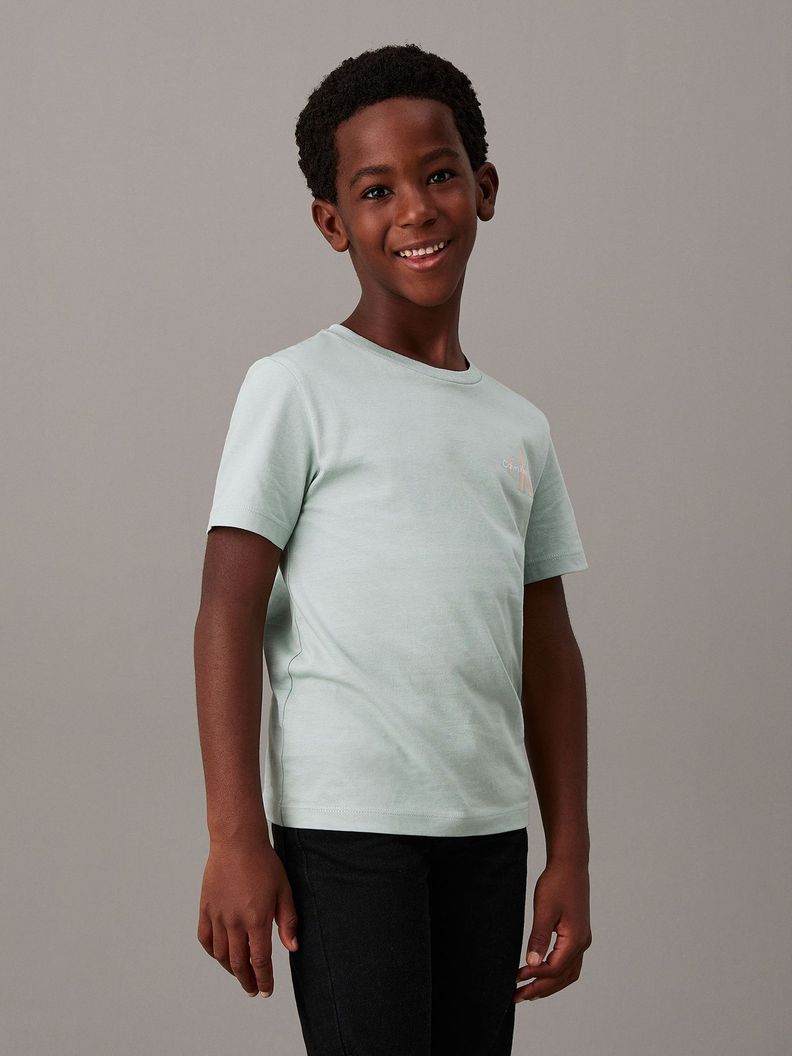 Polera Niño Ches Monologo Verde Calvin Klein-0